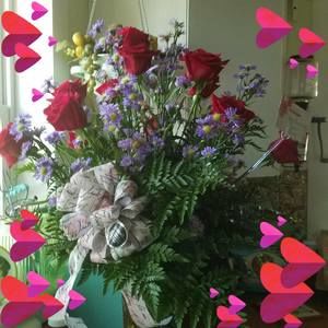 Meet your Posher, Sharon